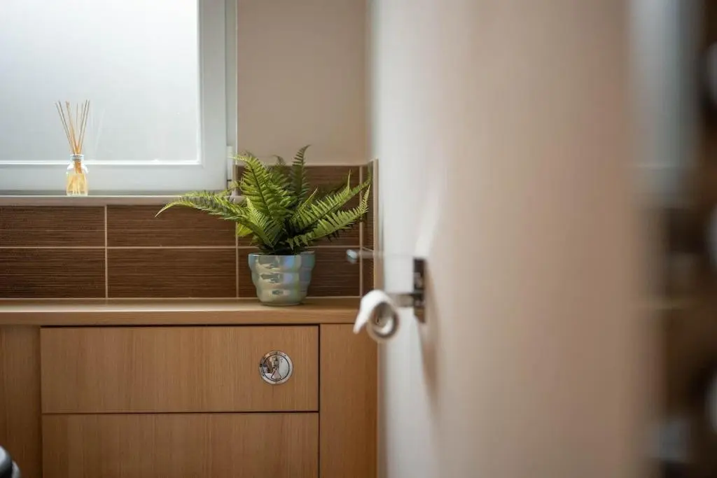 a plant in a pot on a counter in a bathroom at Aberdeen 2BR Flat Near Airport & City Centre in Aberdeen