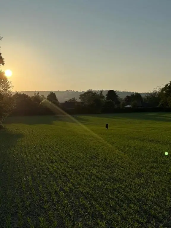 a field of green grass with the sun setting at Friar's Rest - Beauly Village in Beauly