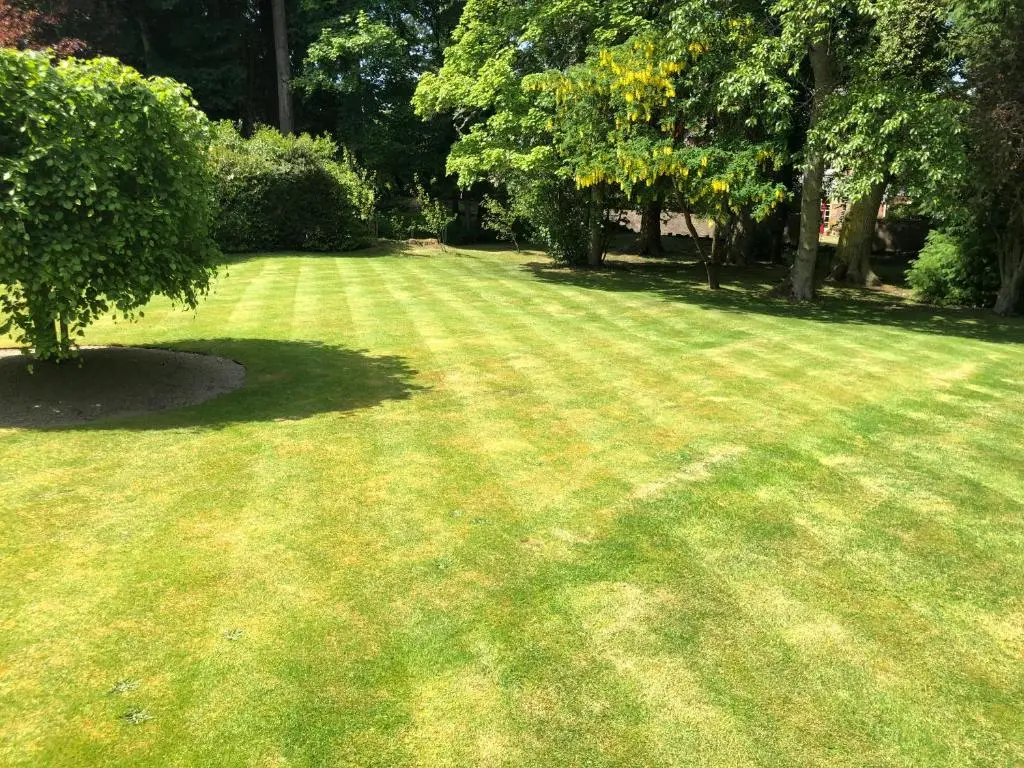 a large grass field with a tree in the middle at Cannich at RHA in Dalneigh