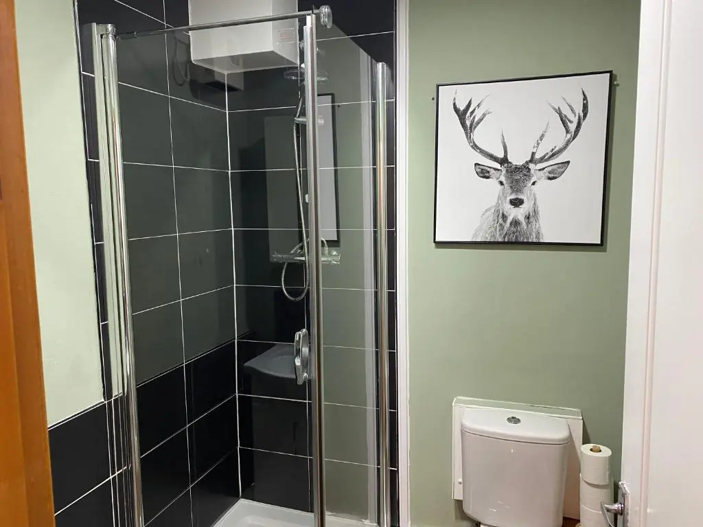 a shower with a picture of a deer on the wall at Cozy one bedroom apt in Inverness