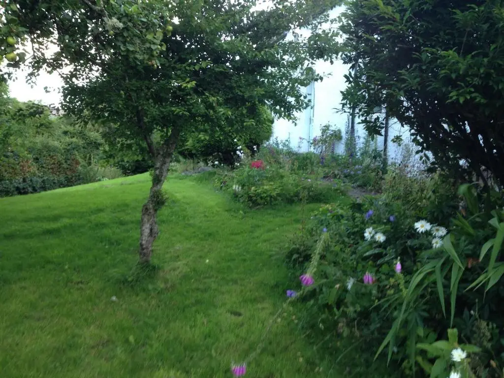 a tree in the middle of a field with flowers at Charming cottage close to the Cairngorms in Ballindalloch