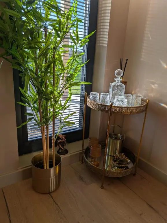 a plant sitting next to a side table next to a window at Luxury Lodge by Findhorn Sands No 18 in Findhorn