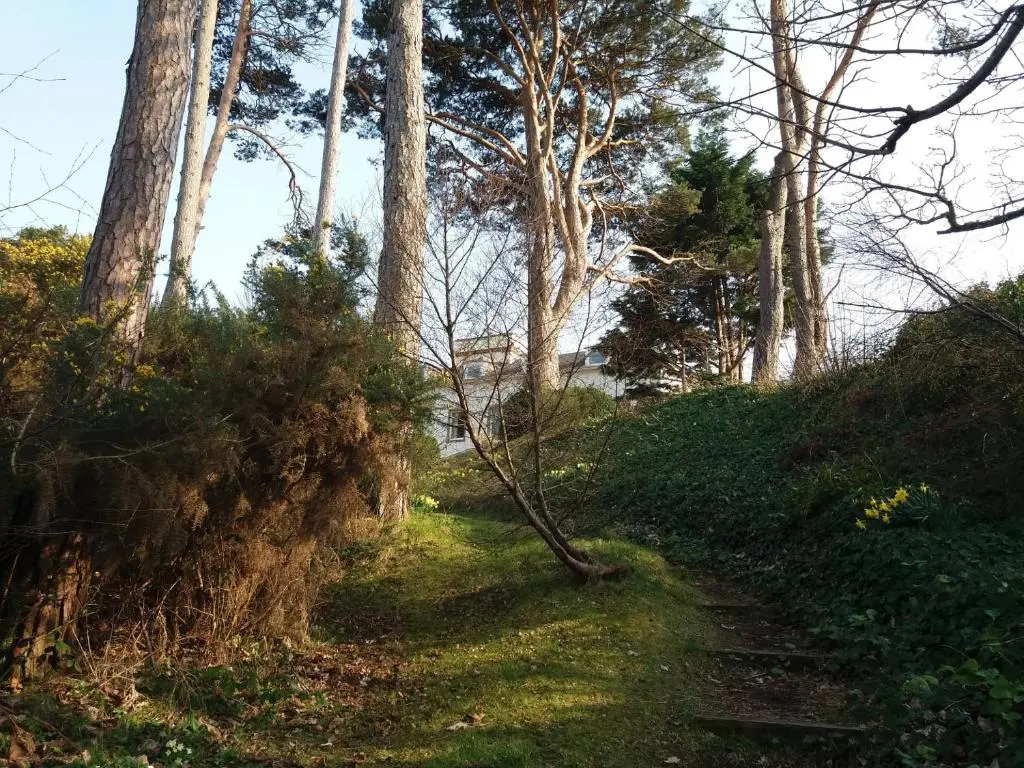 a path through a forest with trees on a hill at The Bunker Self Catering in Nairn