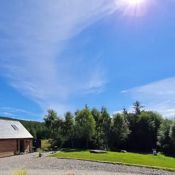 Woodland studio