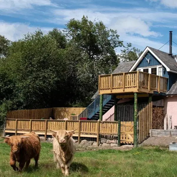 Beautiful dog friendly lodge with hot tub