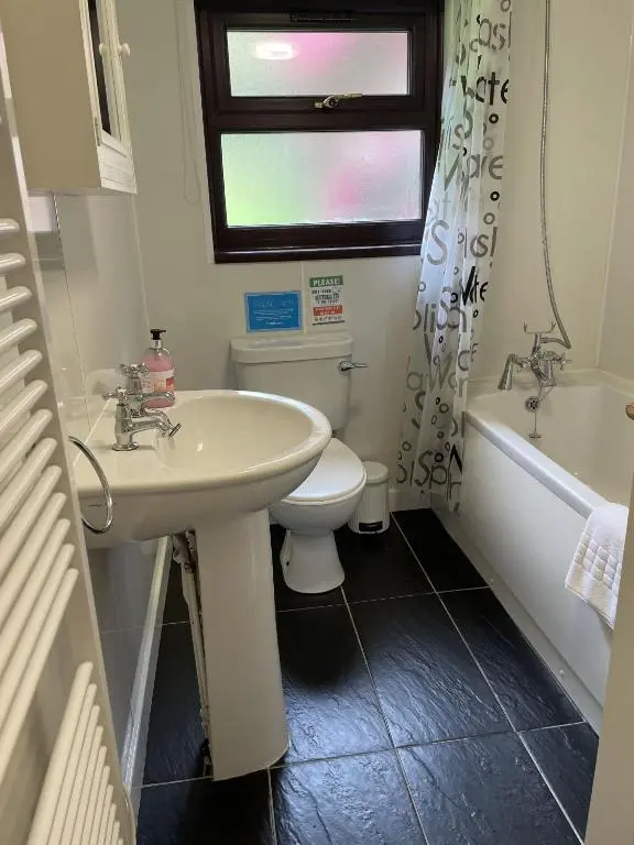 a bathroom with a sink and a toilet and a window at Mountain Thyme Lodge in Kilfinnan