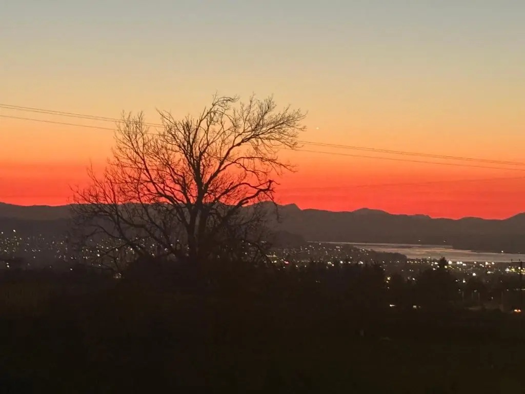 a sunset with a tree in front of a city at Culloden retreat in Culloden