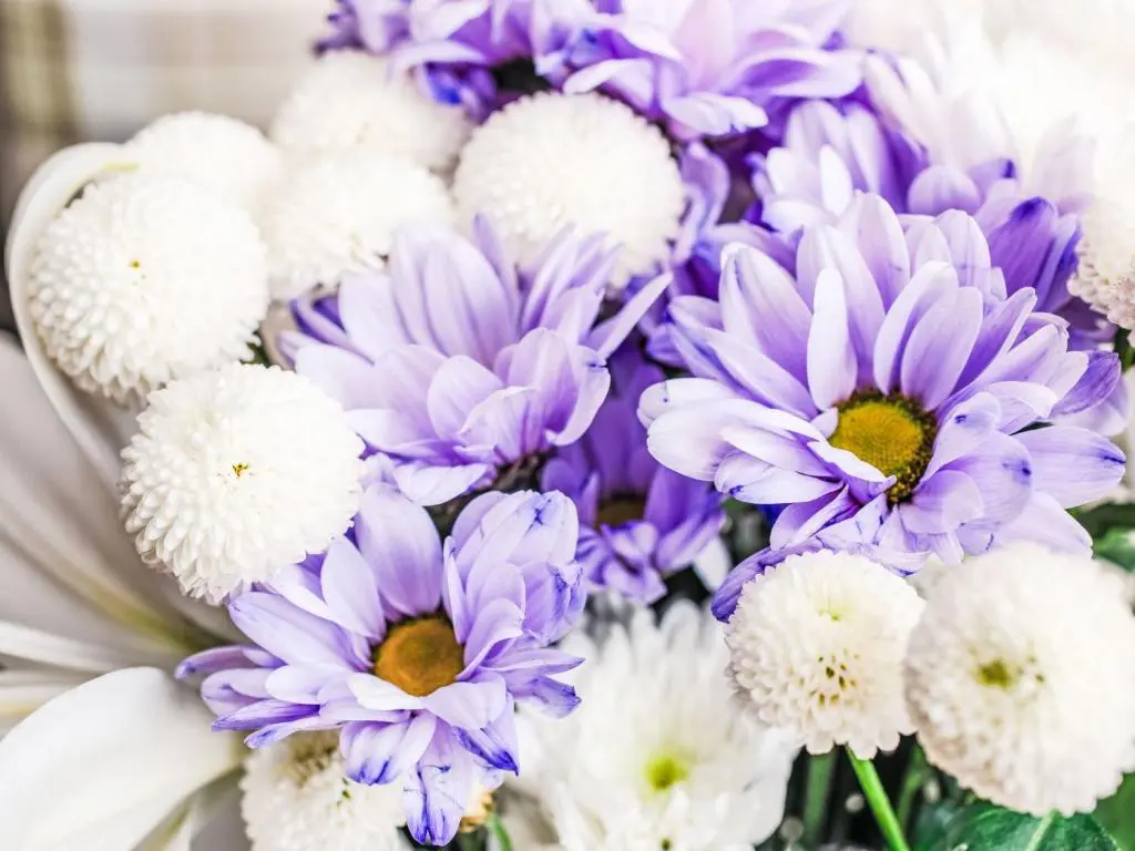 a bunch of purple and white flowers in a vase at Holiday Home Bunloit Farmhouse by Interhome in Drumnadrochit