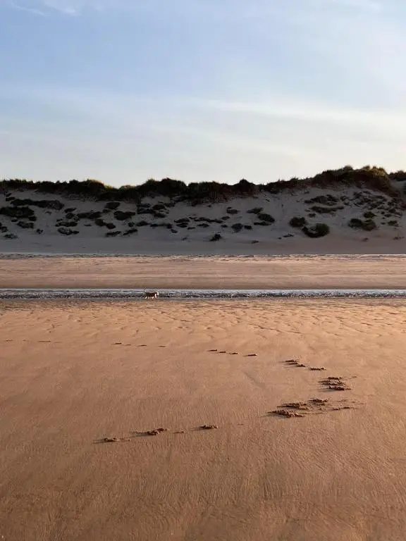 a dog footprints in the sand on a beach at Beautiful Highland Sanctuary in Embo
