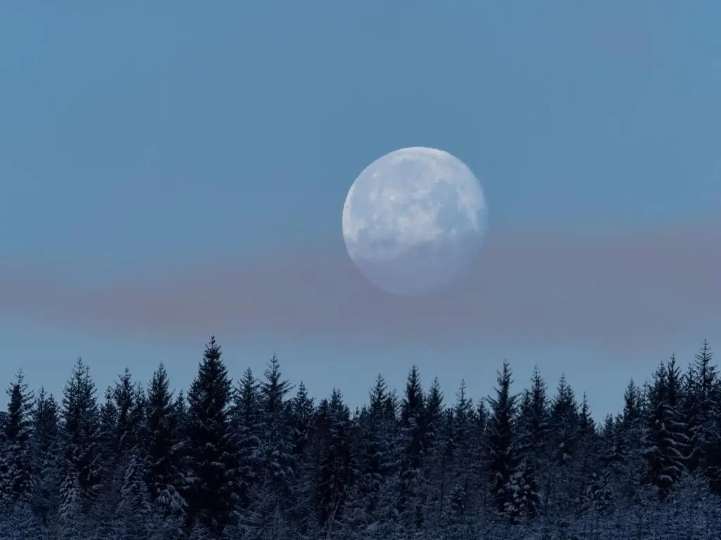 a full moon rising over a forest of trees at Ardachy Riverside Accessible One bedroom Holiday let in Fort Augustus