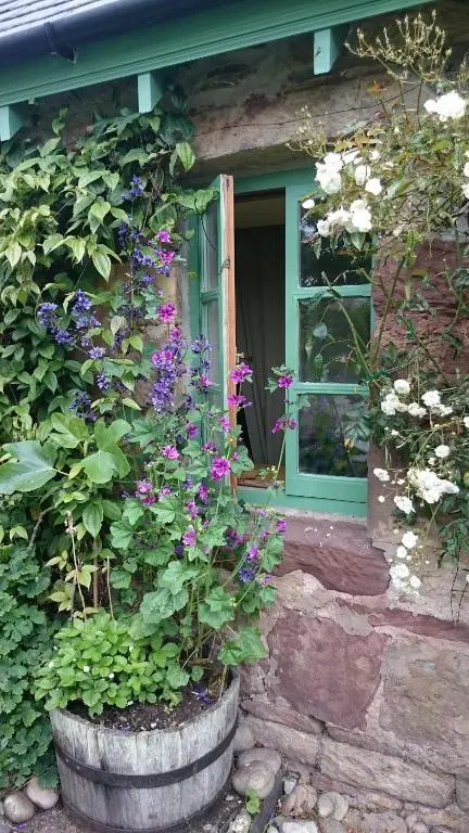 a house with a window and flowers in a barrel at Special Offer, Cosy Cottage Near the Sea in Embo in Embo