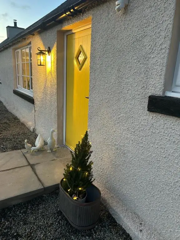 a christmas tree in a pot next to a yellow door at Calsie Cottage, Clatt in Kirktown of Clatt
