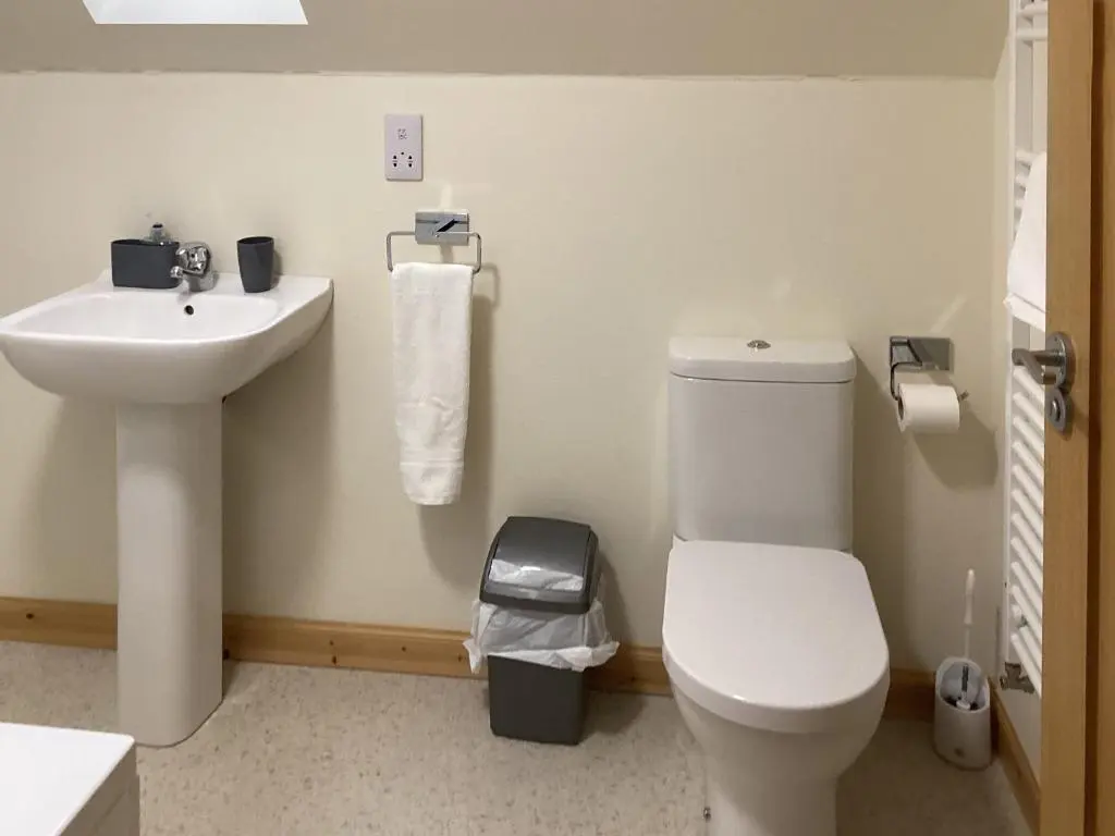a bathroom with a white toilet and a sink at Mirodon in Brora