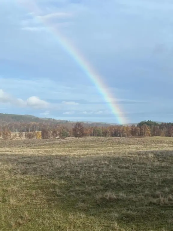 a rainbow in the sky over a field at ScottishHighlands in Boat of Garten