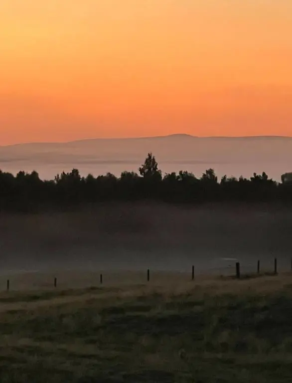 a foggy field with a sunset in the background at ScottishHighlands in Boat of Garten