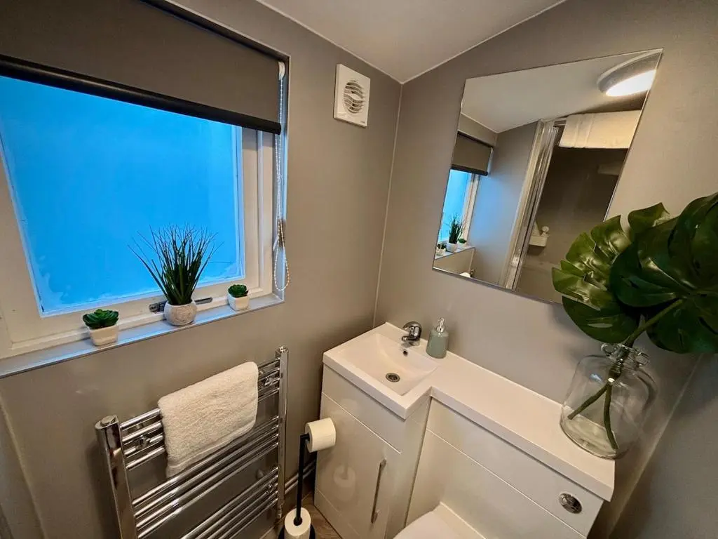 a bathroom with a toilet and a sink and a mirror at Cosy cottage in idyllic Speyside setting in Rothes
