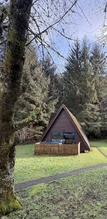 a small cabin in a field next to a tree at The Great Glen Getaway Lodge in Spean Bridge