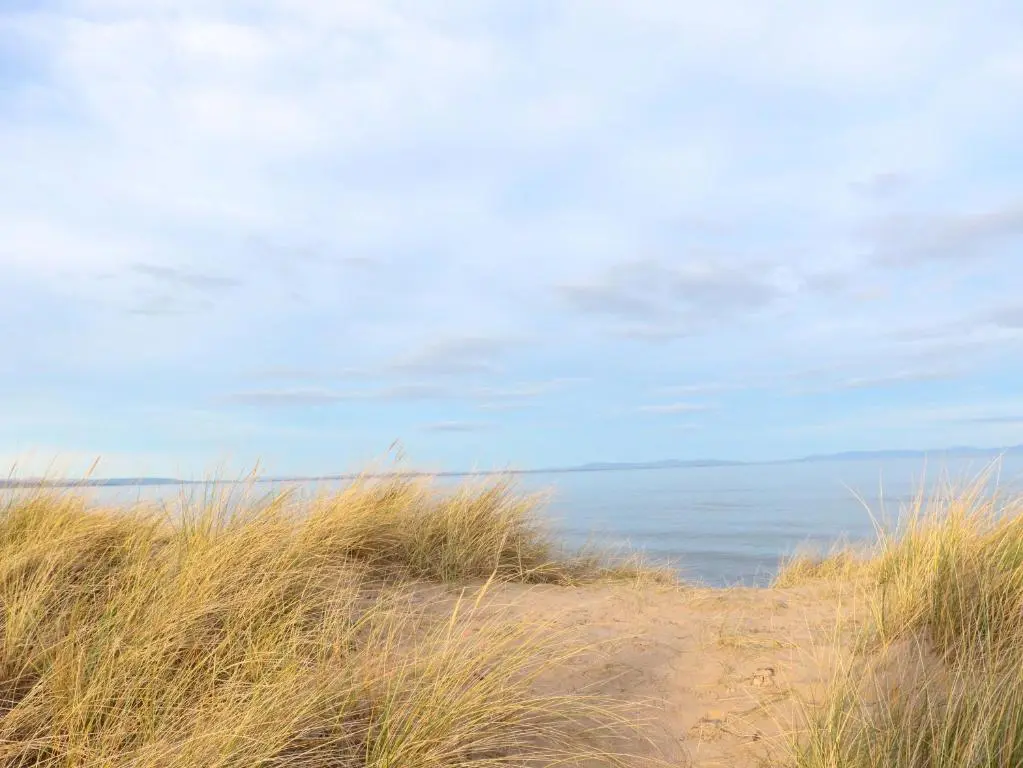 a beach with tall grass and the ocean in the background at 78 Findhorn in Forres