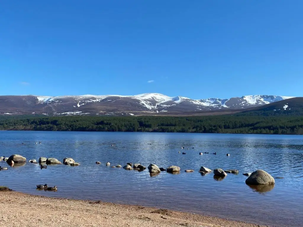 a group of ducks swimming in a lake with mountains at Holiday Home Greenaway by Interhome in Skye of Curr