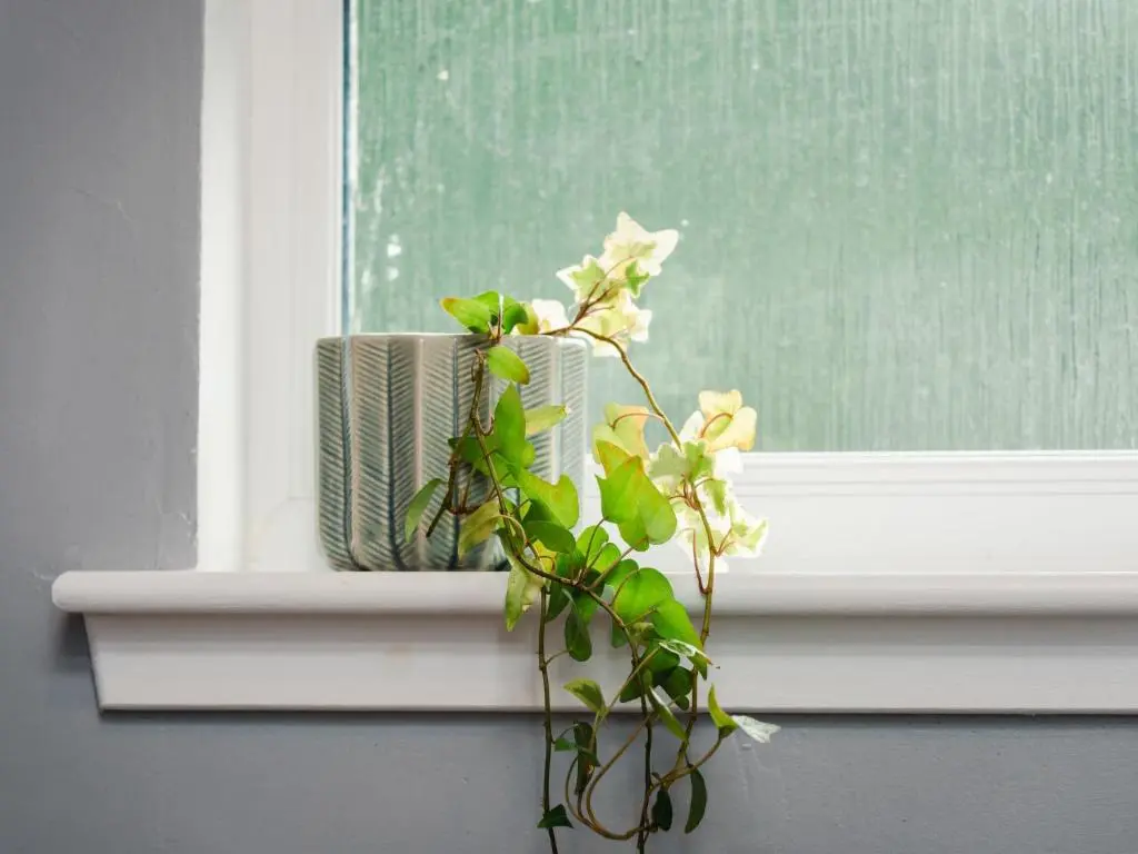 a plant sitting on a window sill next to a flower at Chalet The Cabin by Interhome in Eskadale