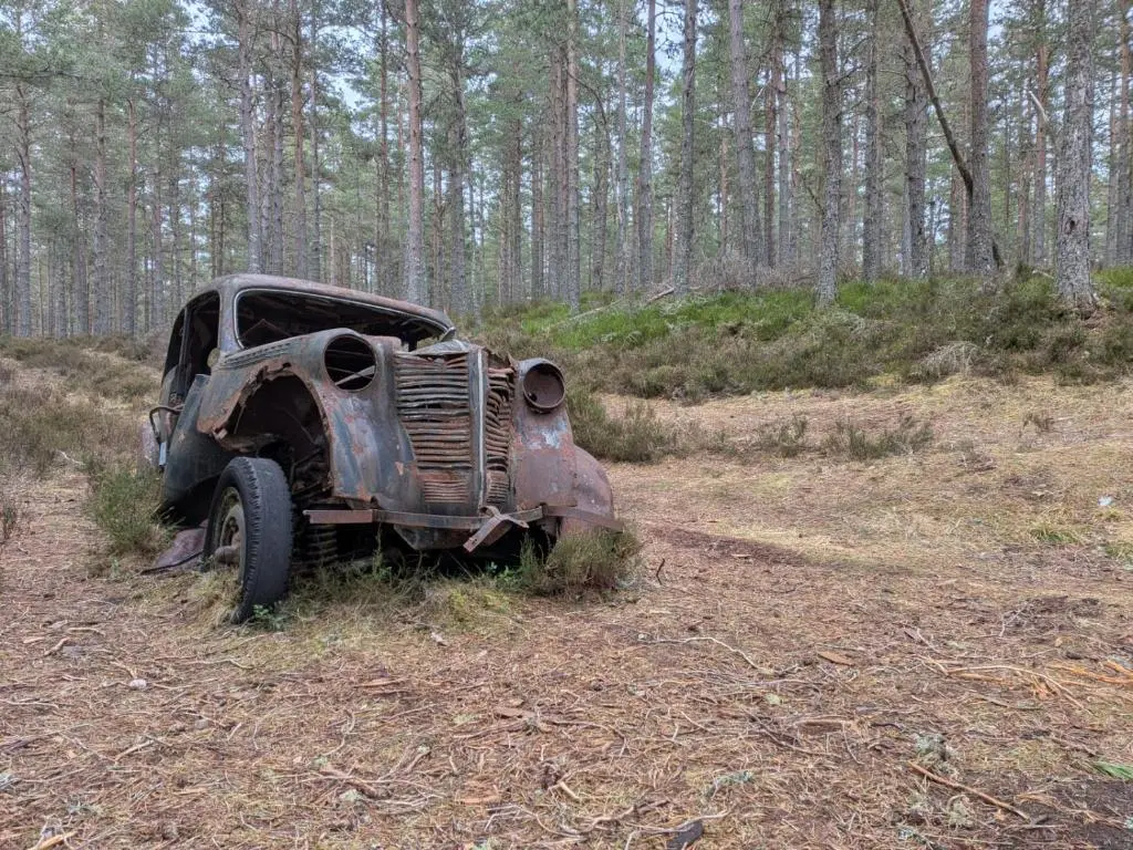 an old car sitting in a field in the woods at Boat 32 in Boat of Garten