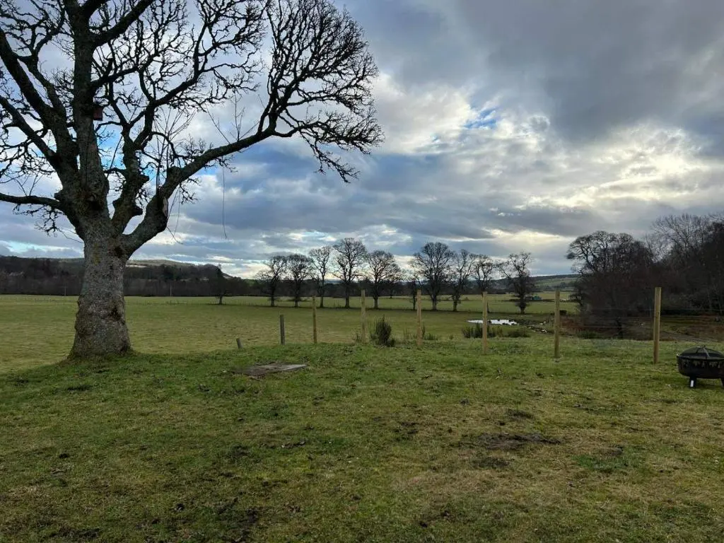 a tree in the middle of a field at Hot tub - Garden - Bbq - Parking - Pets - Sleeps 6 in Strathpeffer