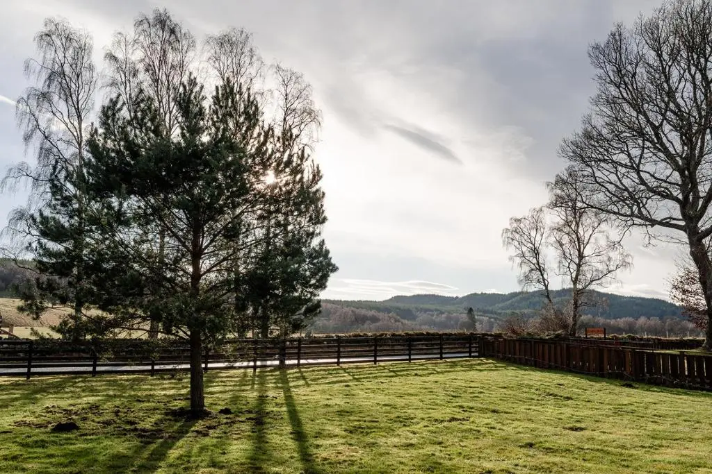 a tree in a field next to a fence at Inshlea - Seasgair Lodges in Insh