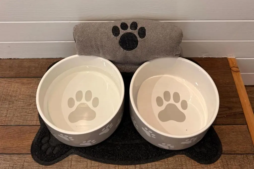 two bowls with a dog paw print on them at Pets - Garden - Parking - Sleeps 2 - Hiking in Banchory