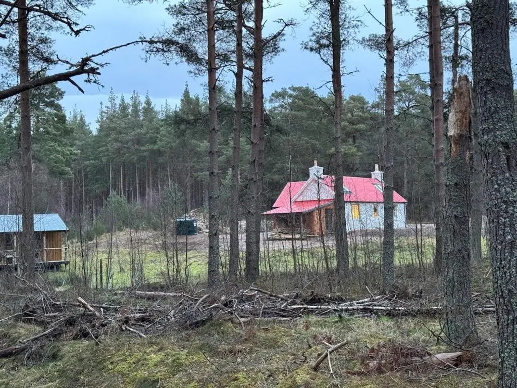 a house with a red roof in the woods at Cosy Highland Cottage in the Woods on Royal Deeside in Coldstone
