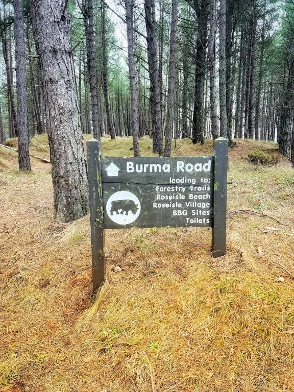 a sign for a bump road in the woods at The Beach Flat in Burghead