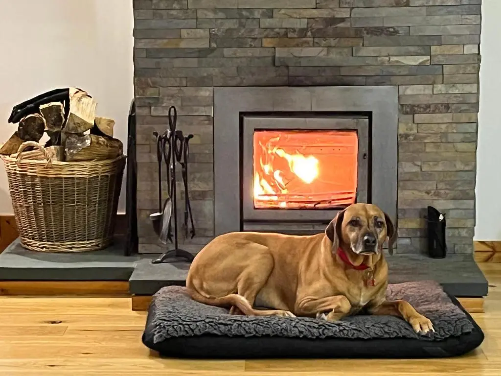 a brown dog laying on a rug in front of a fireplace at Kirkstone Lodge in Insh