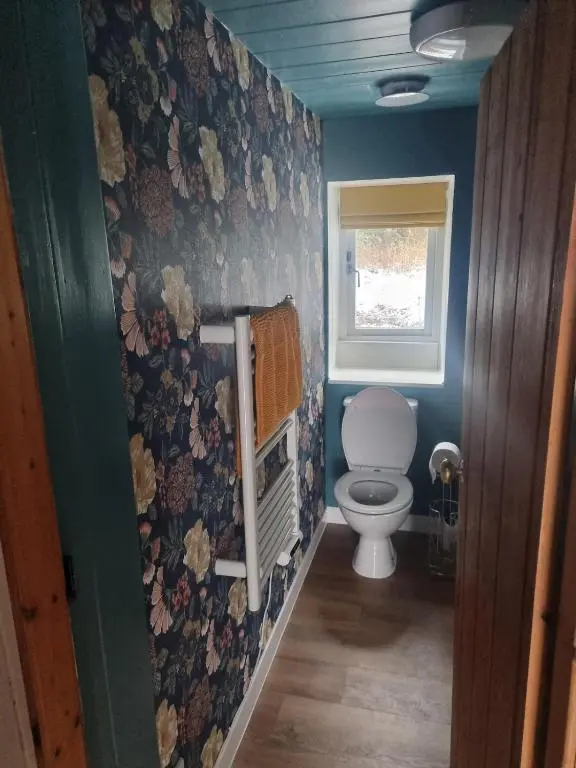 a bathroom with a toilet and floral wallpaper at bochruben in Inverness
