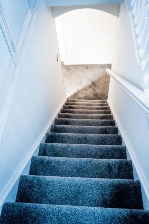 a staircase with blue carpeted stairs with a window at Josies House in Banff