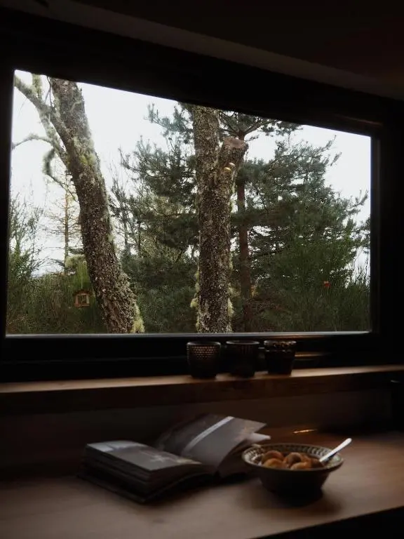 a window with a bowl of food and a book on a table at Bespoke Wood Cabin - Loch Ness in Inverfarigaig