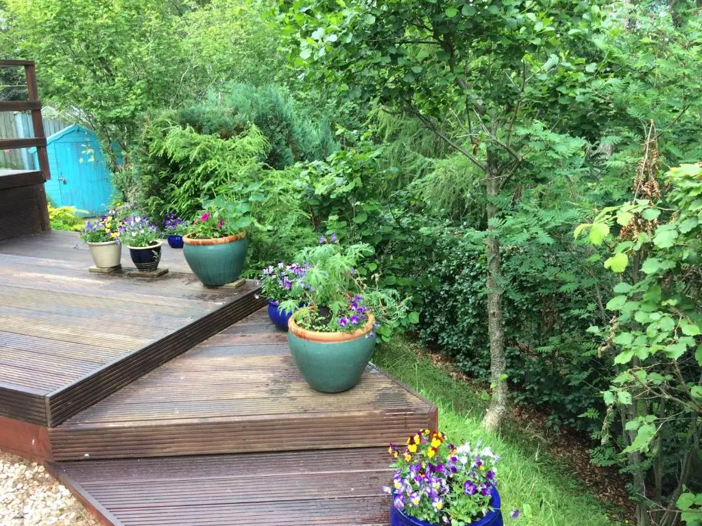 a row of potted plants sitting on a wooden deck at Dullatur in Newtonmore