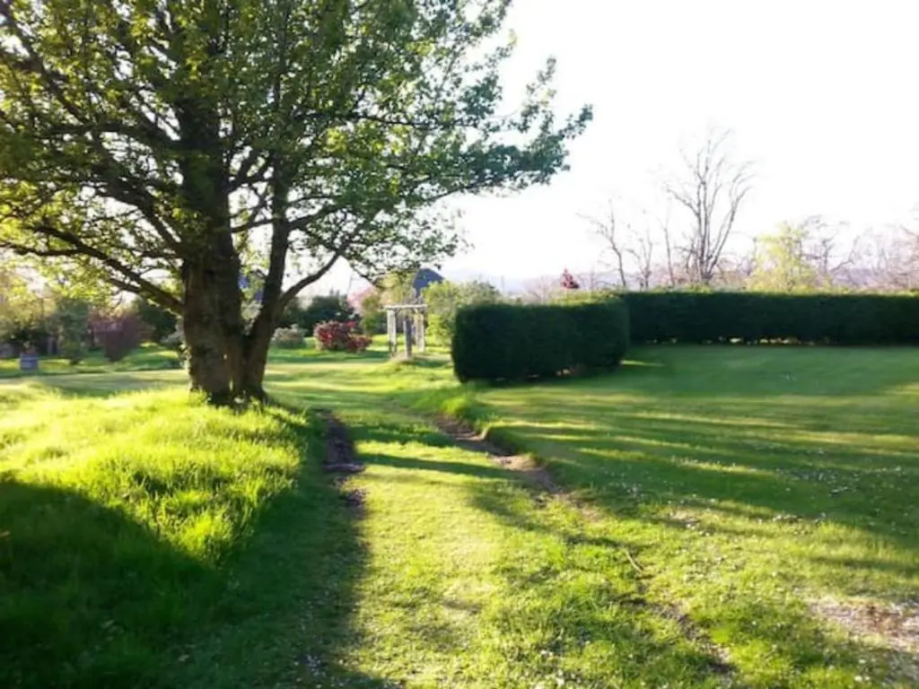 a tree in the middle of a grass field at Home Comforts in Peaceful 2 Acres in Inverness