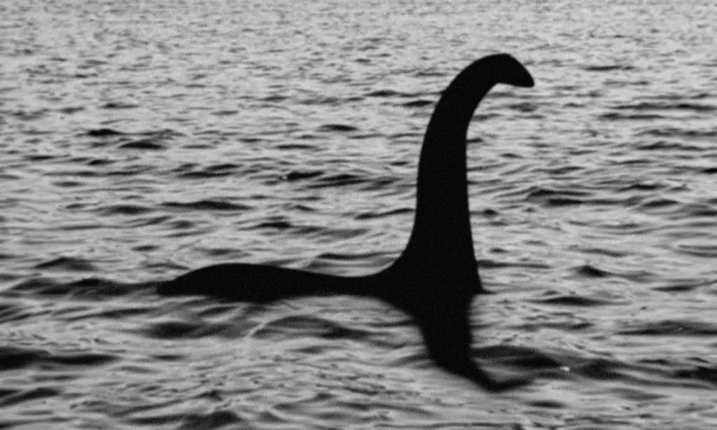 a bird flying over a body of water at The Classrooms, Loch Ness Abbey - 142m2 Lifestyle & Heritage apartment - Pool & Spa - The Highland Club - Resort on lake shores in Fort Augustus