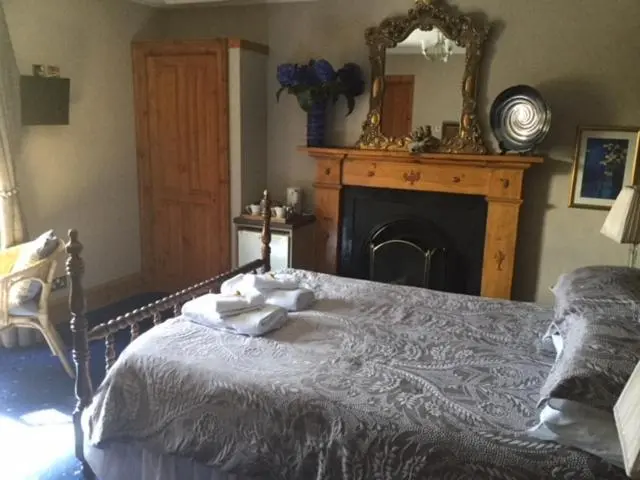 a bedroom with a bed with a fireplace and a mirror at Dionard Guest House in Inverness