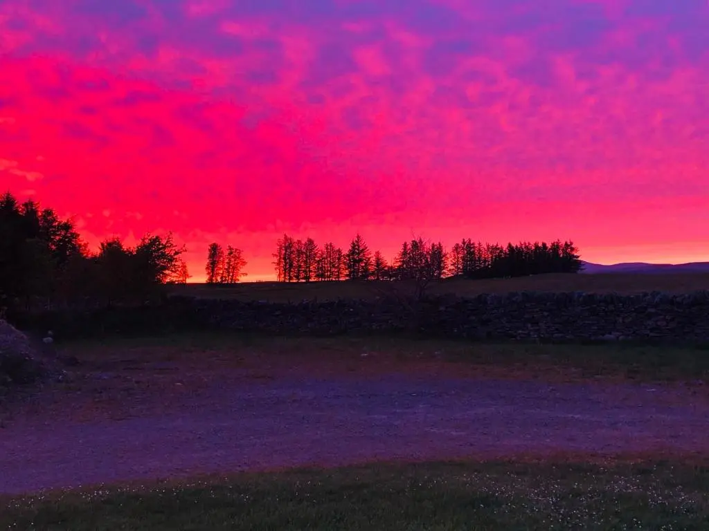 a red sky at sunset with trees in a field at Loch Shin Glamping Pods in Lairg