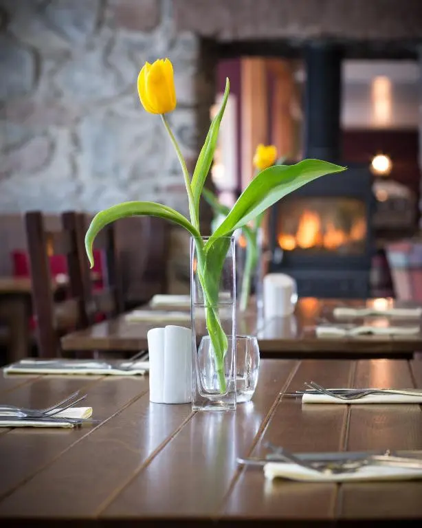 a vase with yellow flowers sitting on a table at Loch Ness Inn in Drumnadrochit