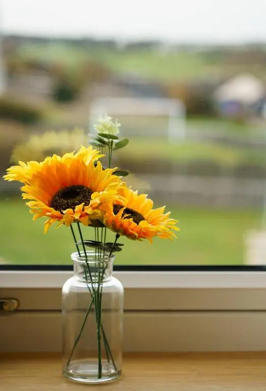 a vase filled with yellow flowers in a window at Lossiemouth Haven in Lossiemouth