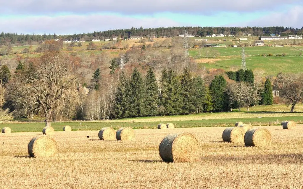 a group of hay bales in a field at Ornum Cottage in Beauly
