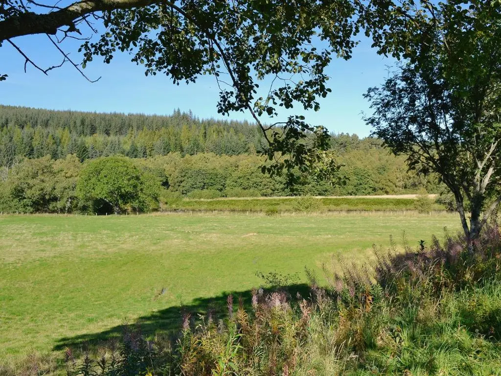 a field of grass with a tree in the foreground at The Old Granary in Ballindalloch