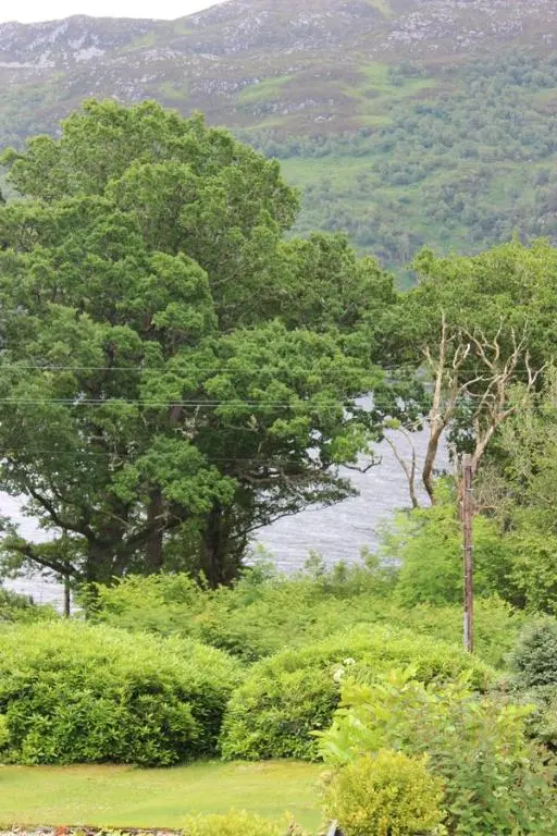 a group of trees and bushes with a body of water at Loch Ness Highland Cottages with partial Loch View in Invermoriston