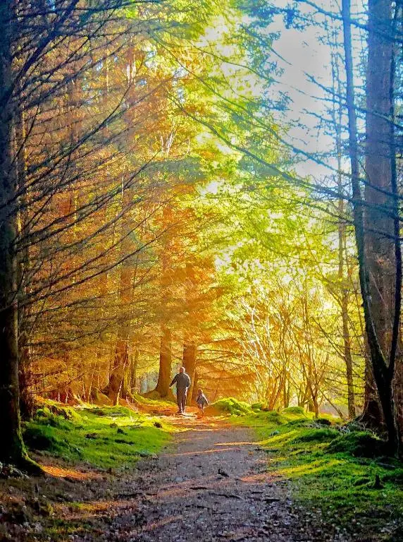 a man walking down a path in the woods at Loch Ness Highland Cottages with partial Loch View in Invermoriston