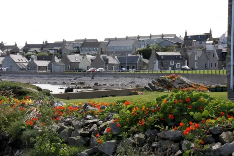 a field of flowers with houses in the background at Belvedere Holiday Home in Whitehills