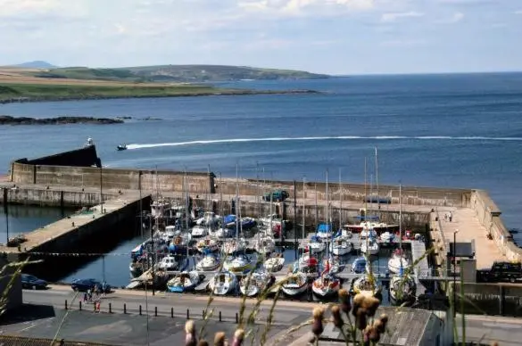 a bunch of boats are docked at a marina at Belvedere Holiday Home in Whitehills