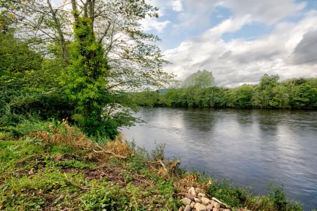 a river with a tree on the side of it at Glasdair in Inverness