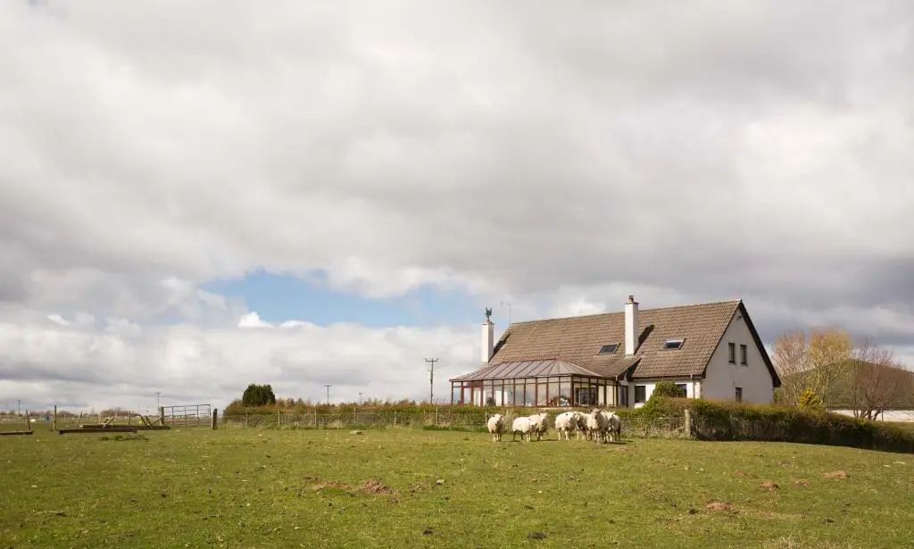 a group of sheep grazing in a field in front of a house at Leanach Farm in Inverness