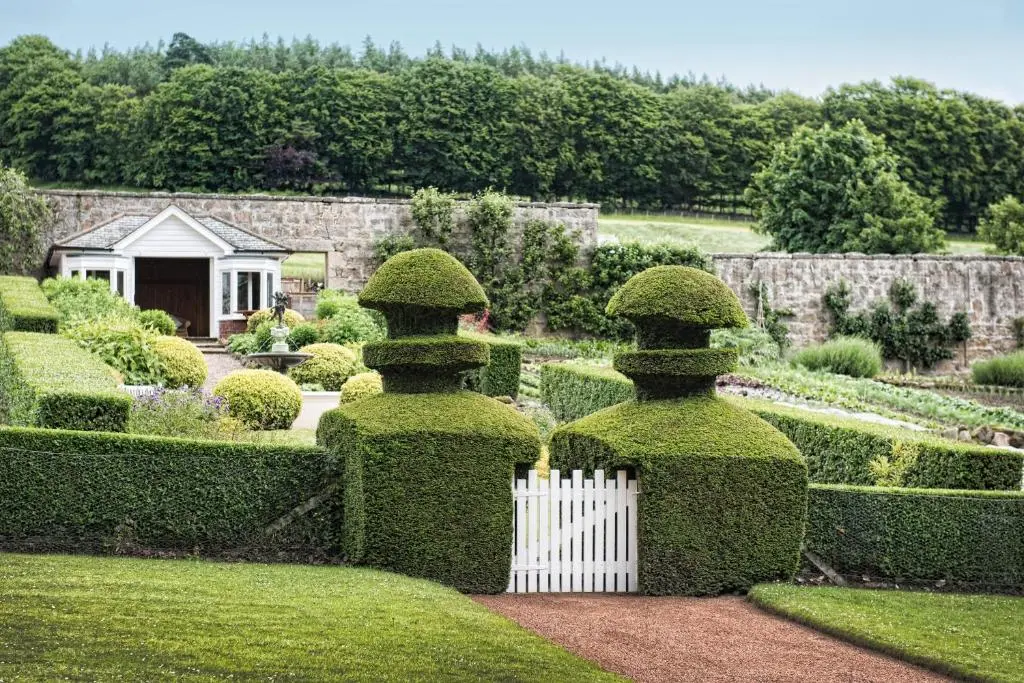 a garden with hedges and a white picket fence at Douneside House in Tarland
